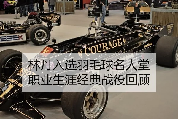 lin-dan-ru-xuan-yu-mao-qiu-ming-ren-tang-zhi-ye-sheng-ya-jing-dian-zhan-yi-hui-gu-3-831.jpg